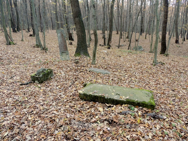 Kostoľany pod Tribečom, former Jewish cemetery in the forest under the Dúň Hill