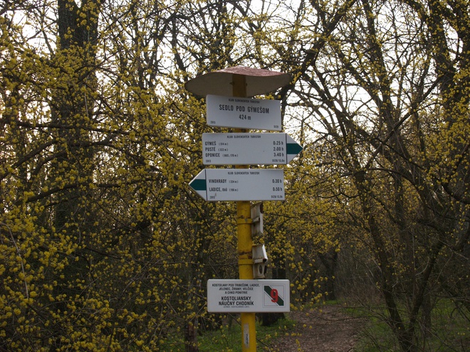 Tourist signpost in Sedlo pod Gýmešom (424 MASL) on the crossing of the green and green routes. Kostolany Educational trail station No. 9.