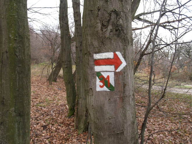 Stripe marker in the shape of an arrow indicating a sudden change in the route of the Ponitrianska magistrála (Nitra arterial) at station No. 31 of the Kostolany Educational trail