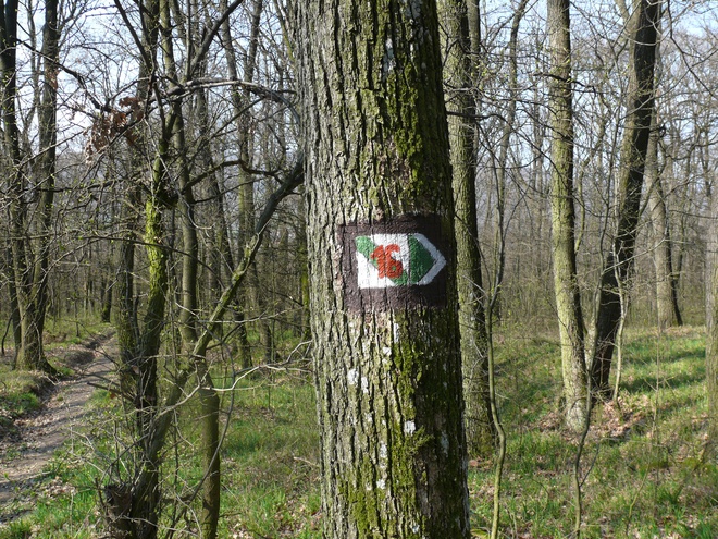  Marker of the educational trail with the station number and arrow indicating the turn to a target outside the marked area