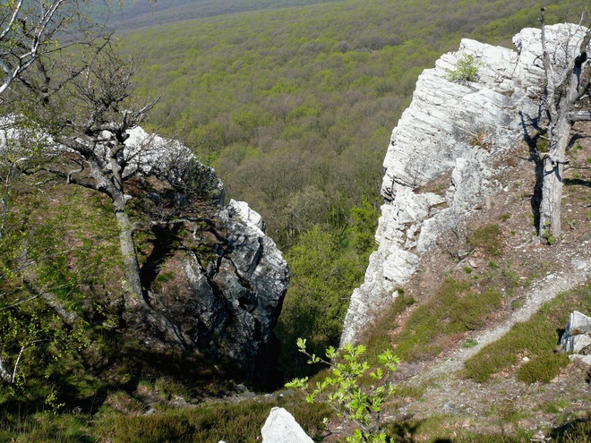 Horná časť skalného komína na Studený hrad medzi Ťavou a Drobivou vežou v blízkosti zastávky č. 11
