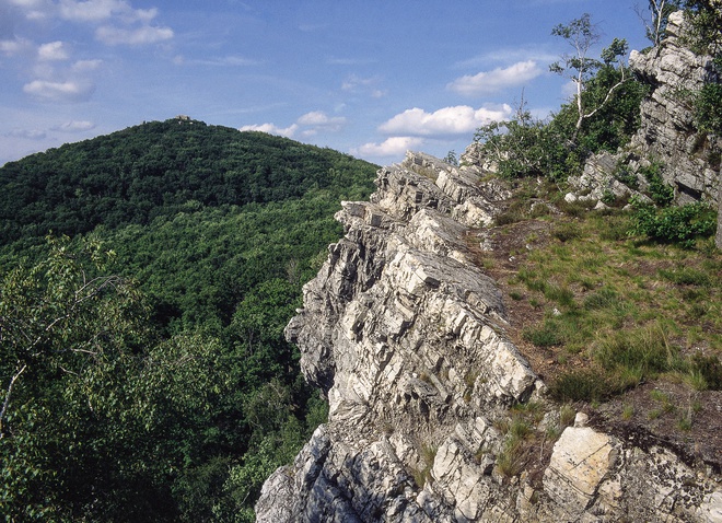 The quartzite hill Studený hrad is formed of typically inclined quartzite banks 