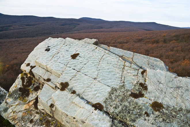 Čeriny na vrstvovej ploche spodnotriasového kremenca vo vrcholovej časti skál Studeného hradu