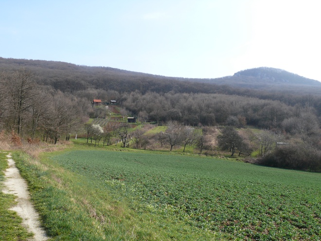 Kostoľany vineyards on the route of the educational trail between stations Nos. 15 and 16 
