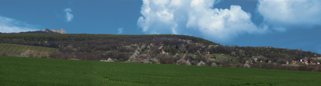 Panorama view of the Nitra part of the Ladice vineyards