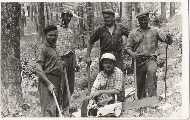 First power saw in the forests of Jedliny in 1963
