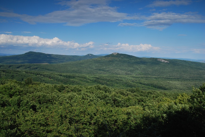 Forested territory of the Kostoľany Educational trail with the quartzite peaks of Ploská, Veľký Lysec, Gýmeš, and Studený hrad