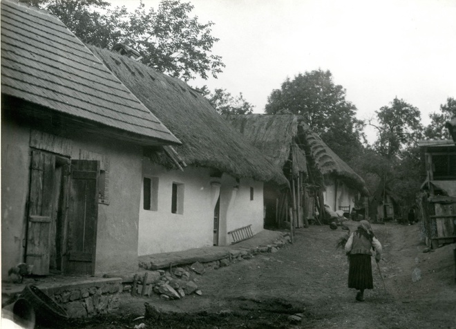 Triple-house with common yard in Žirany in 1960