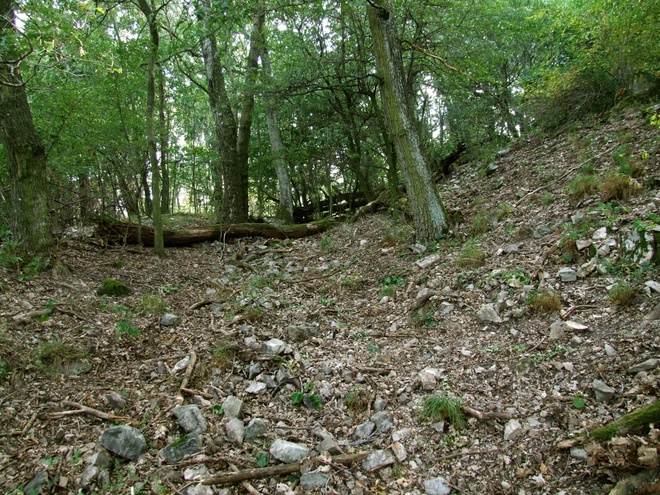 Severovýchodná časť predsunutej línie opevnenia horného hradu s priekopou.