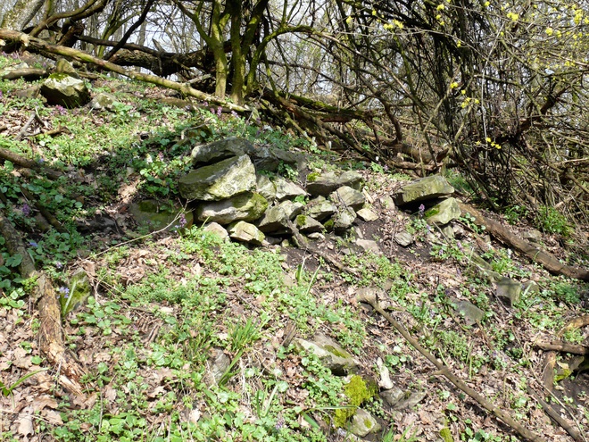 Remains of the stone front of the rampart of the upper castle