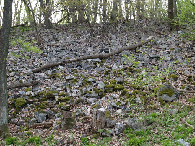 Stone heap from the collapsed rampart on the southern slope of Veľký Lysec