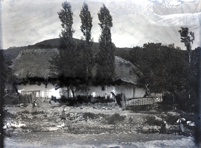 Zrubové domy so slamenou strechou v Kostoľanoch pod Tribečom pri potoku Drevenica v roku 1911
