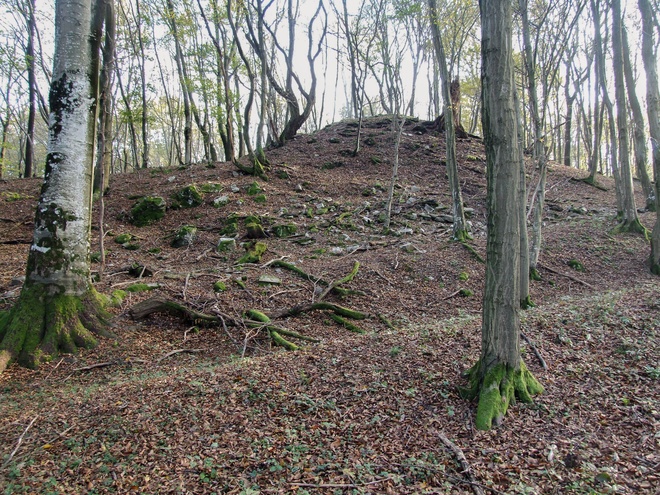 Remains of the castle tower from the 13th–15th centuries within a forest