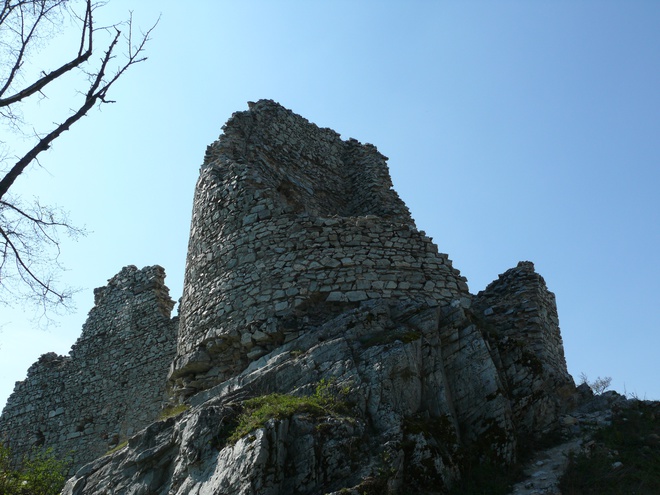 Semi-circular dwelling tower